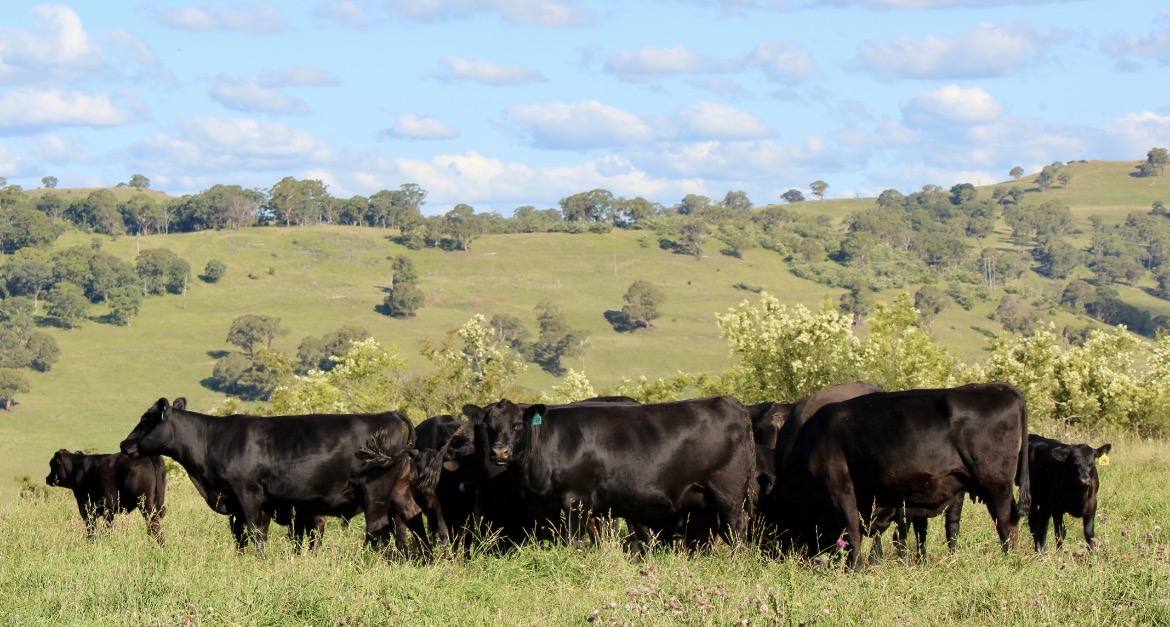 The Genetic Edge — Issue 10