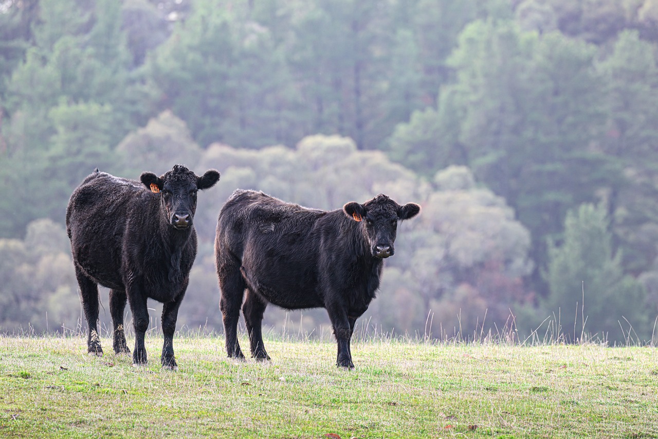 The Genetic Edge — Issue 6